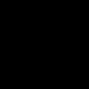 Meet your Posher, Dani